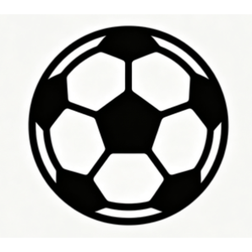 星星体育 Logo